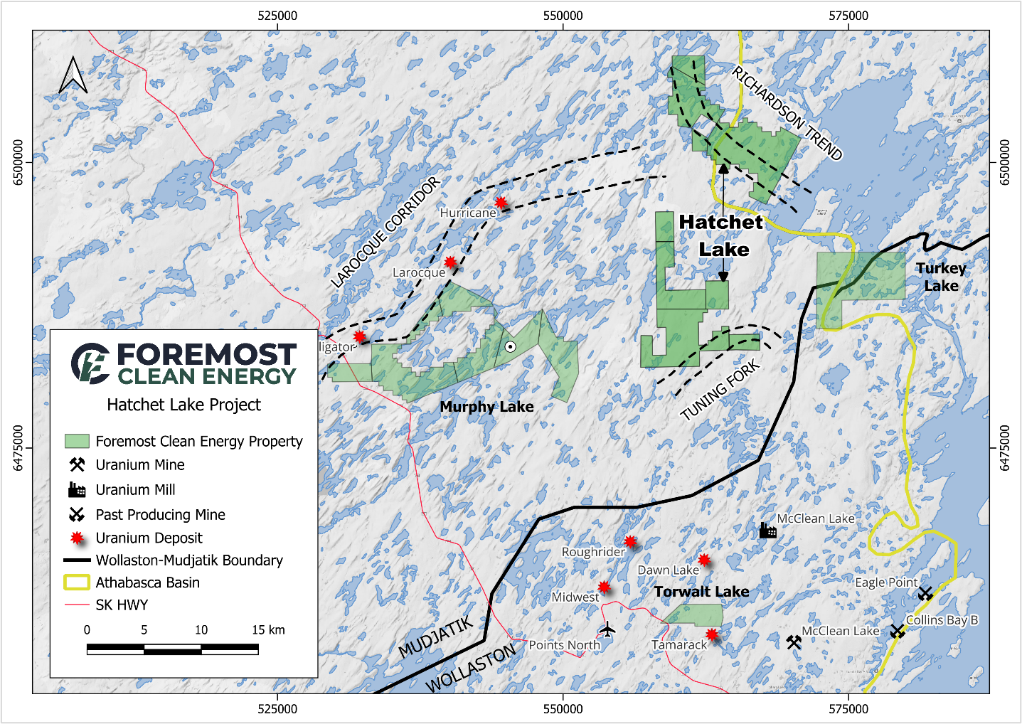 Figure 1 image