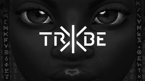 Tribe X Announces Updates on $2 Billion Hack and How It - Vimarsana News