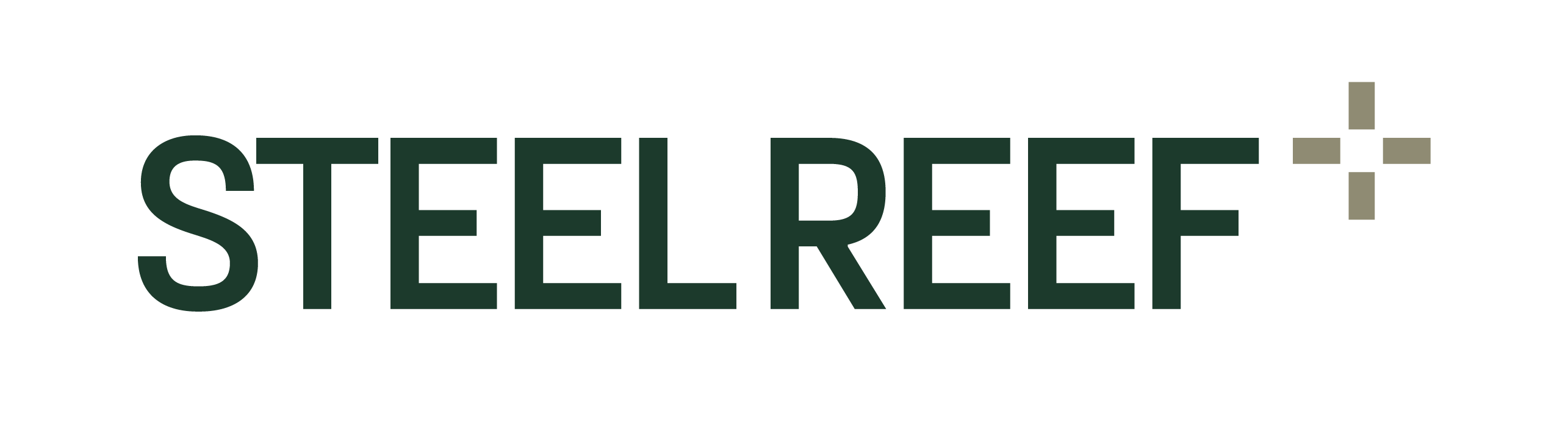 SteelReef_Logo-Colour_RGB (2).png