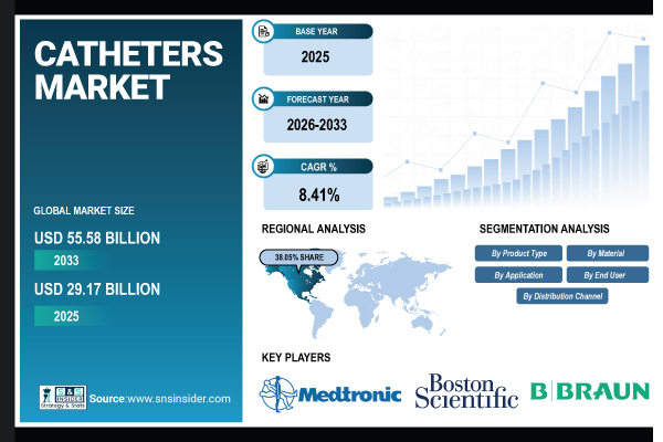 Catheters Market