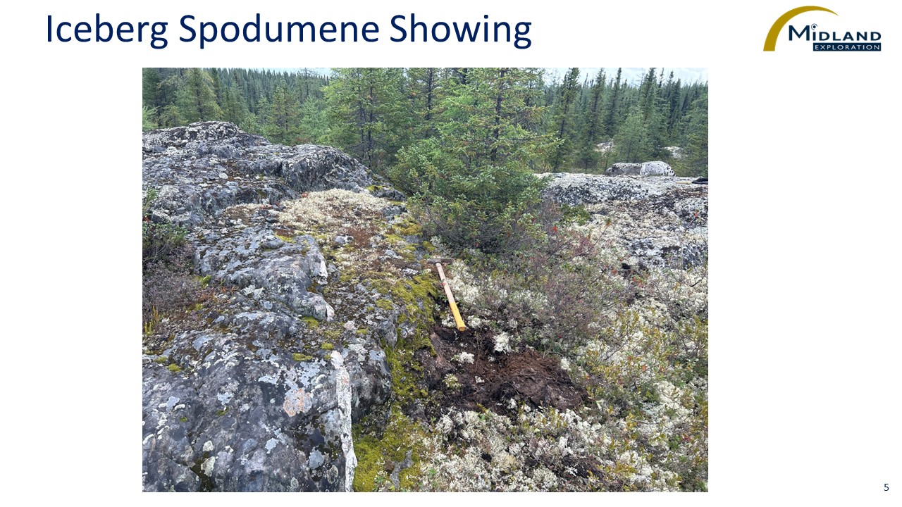 Figure 5 Iceberg Spodumene Showing