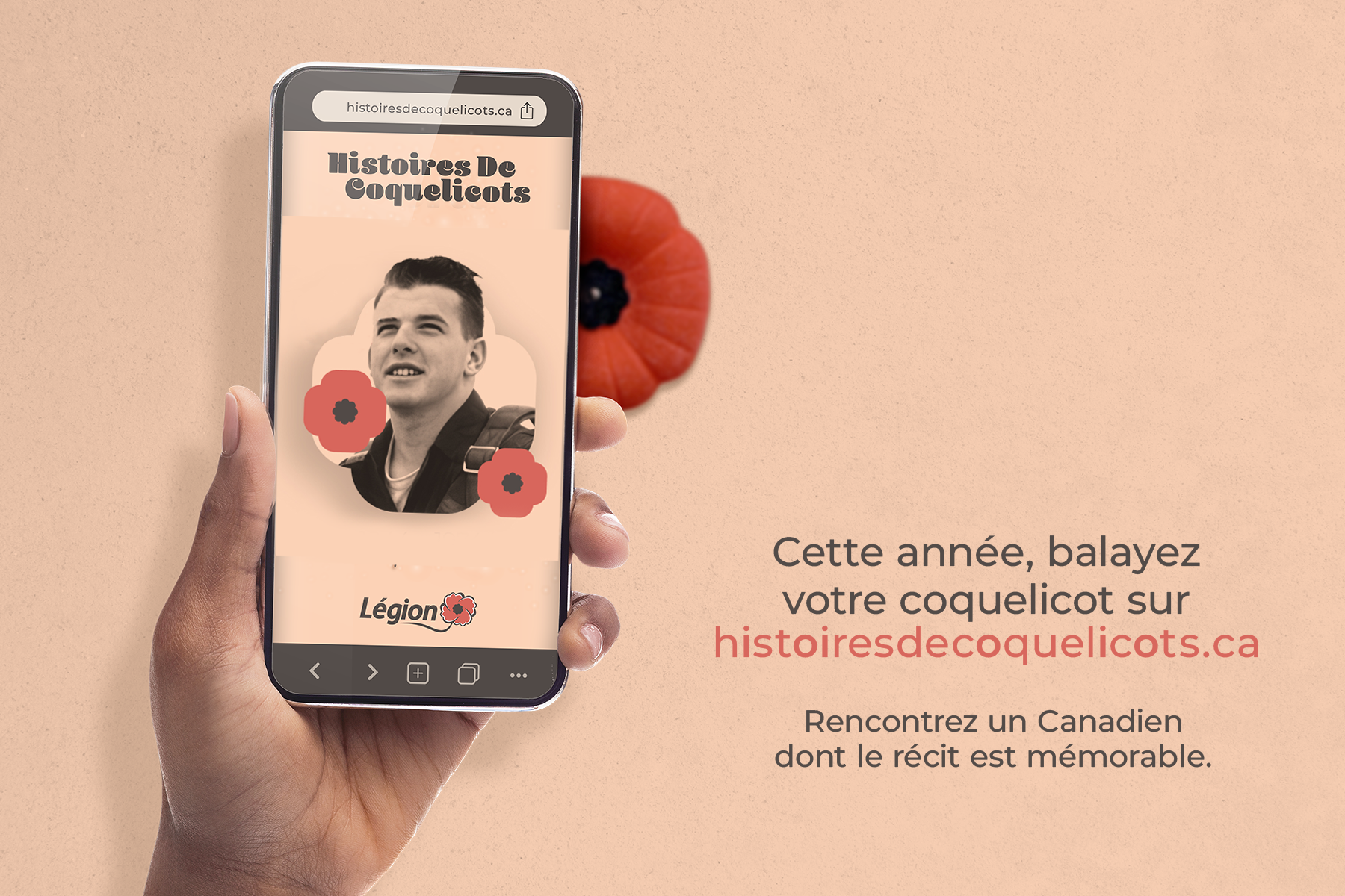 Histoires de coquelicots 