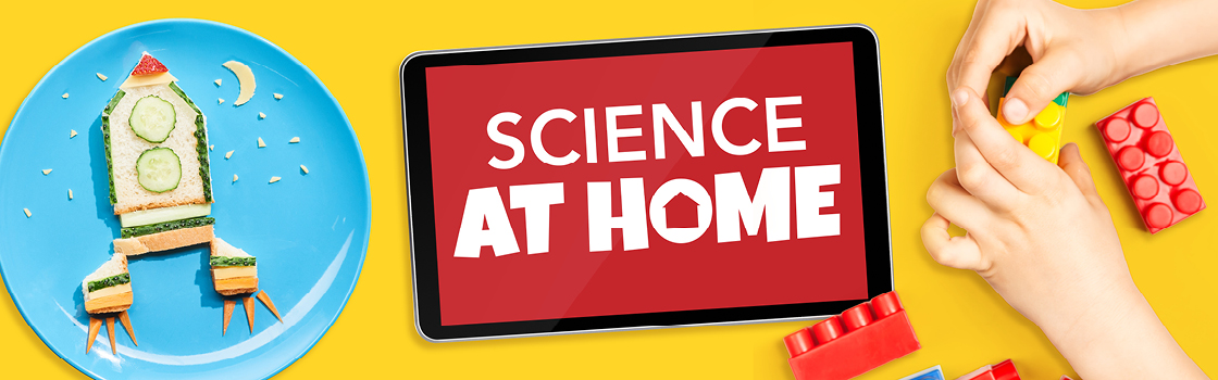Parents, students, and educators can plan to make the Science Center part of their routine with online Science At Home content.