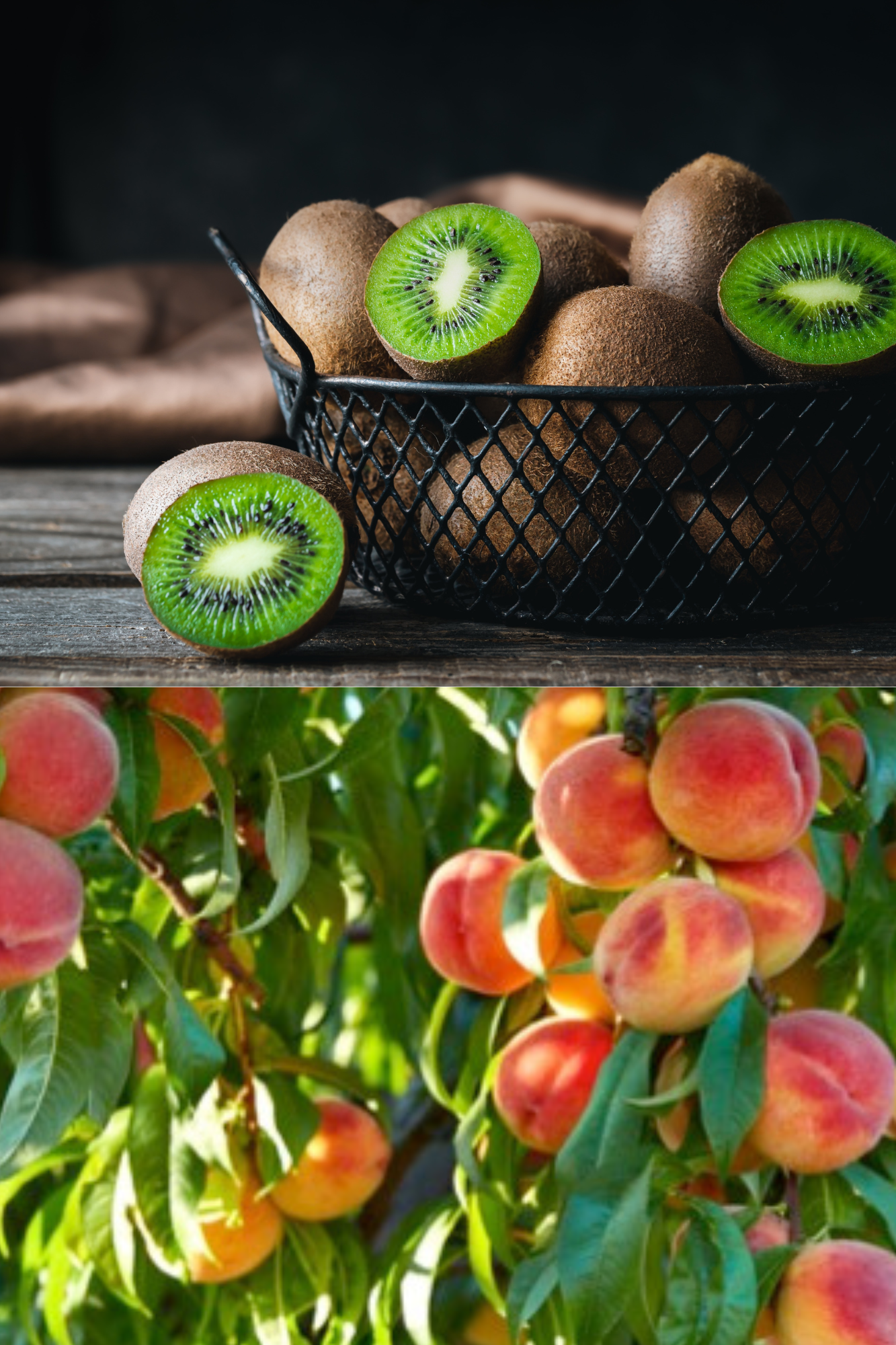 European kiwis and peaches