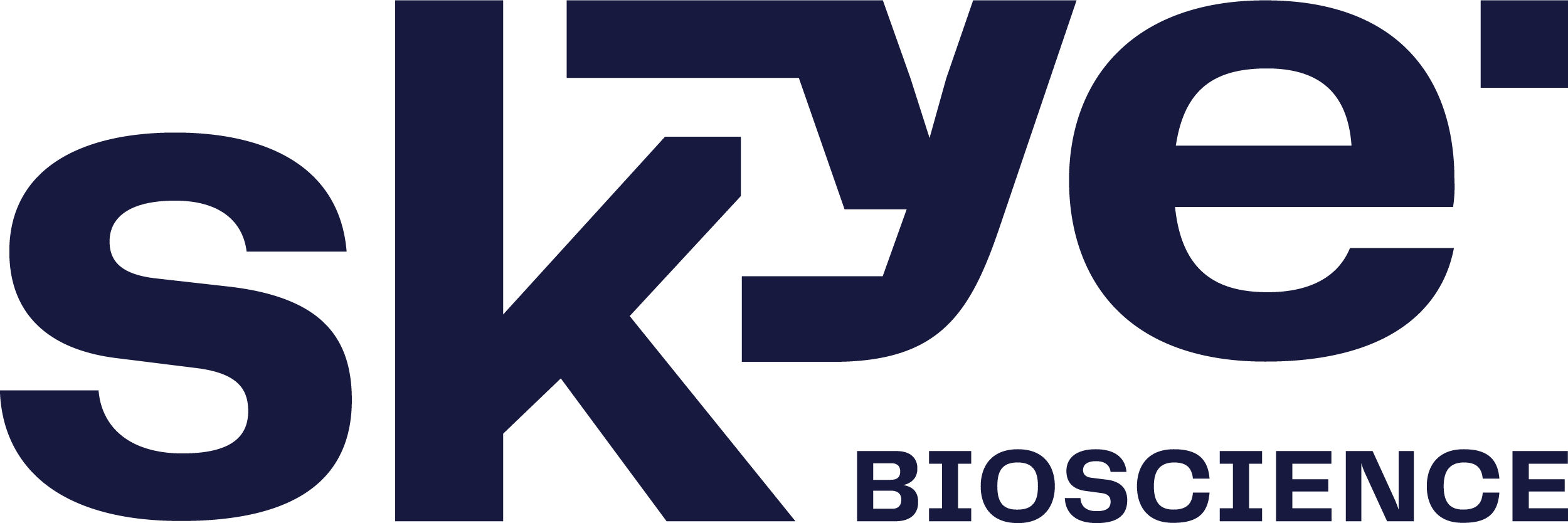 SKYE--logo--dark-blue.png