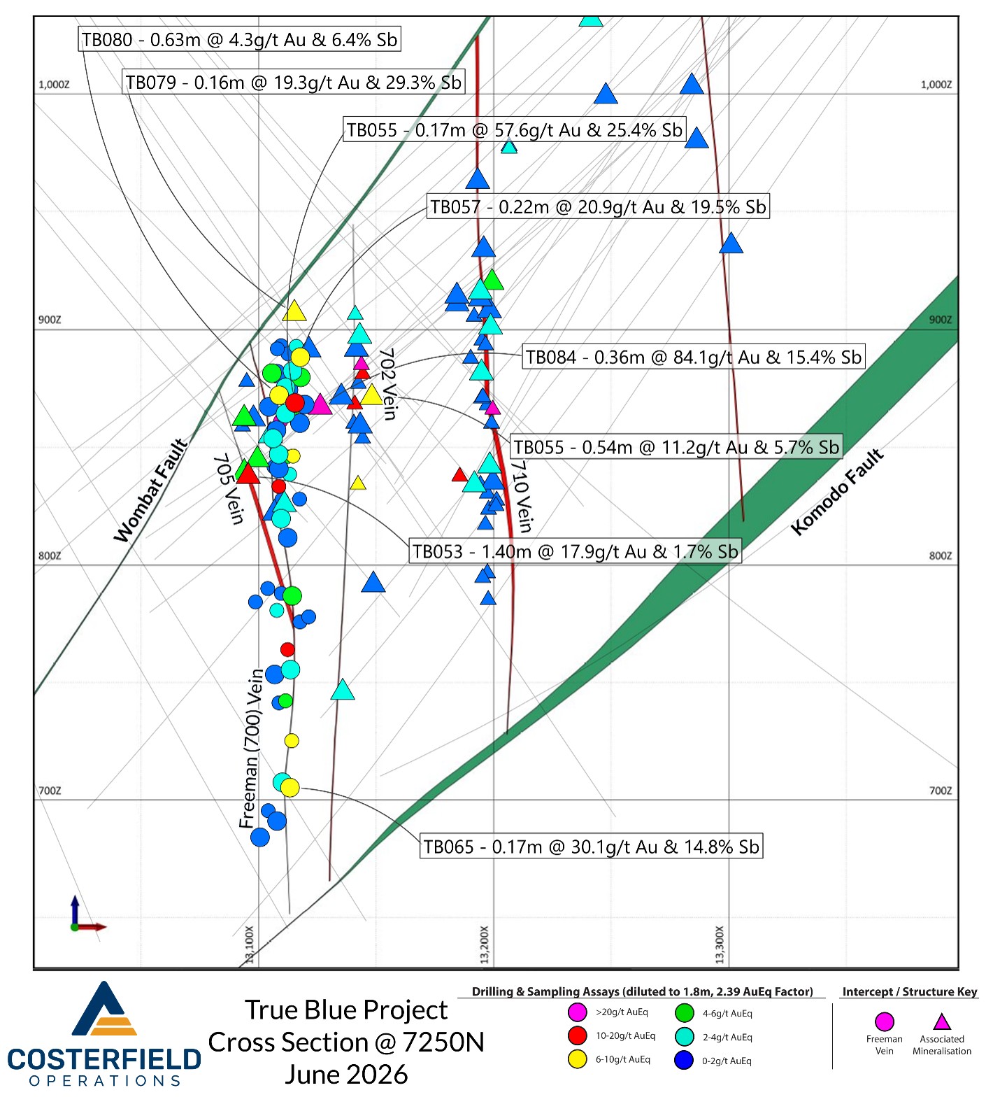 Schematic Cross section looking north at mine northing 7250N showing True Blue veins and> 6g/t AuEq new intercepts labelled. Older significant drill intercepts are displayed as smaller, unlabelled icons. Intercept eastings have been adjusted to cluster around their assigned veins at this northing to combat off-section effect over the length of the deposit. 
