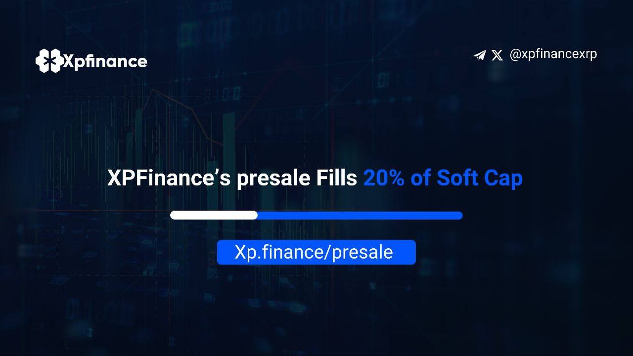 XpFinance
