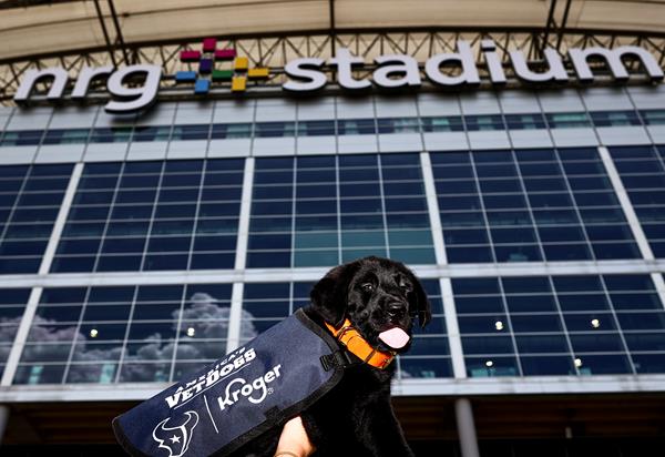 Texans Pup in front of NRG Stadium