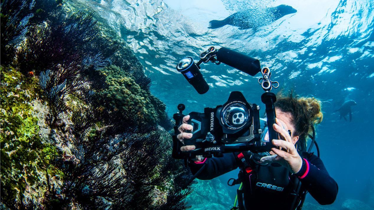 Taking underwater photos with a smartphone using DIVEVOLK equipment