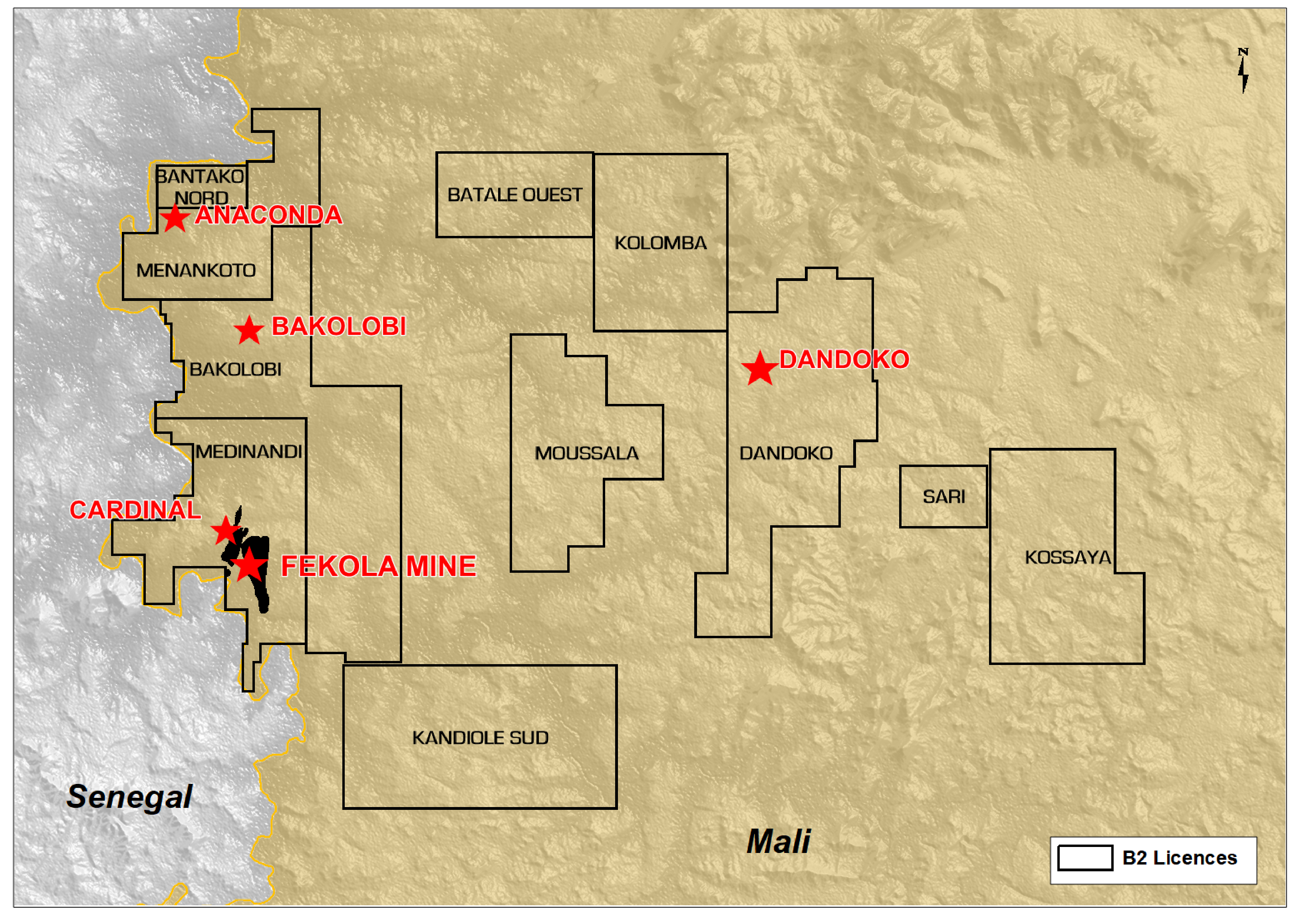 B2Gold launches Namibian Rhino Gold Bar campaign in North America