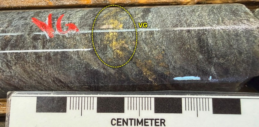 West Red Lake Gold Reports 176.04 g/t Au over 5.3m, 128.32 g/t Au over 4.5m and 35.72 g/t Au over 13.35m from Austin 955 and 904 Complexes