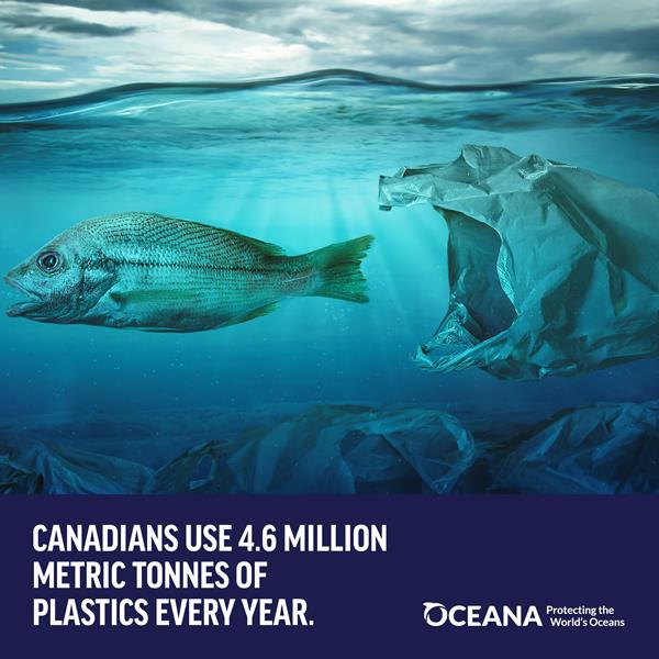 Oceana Plastic Report Social V.2_IG 5 (1)