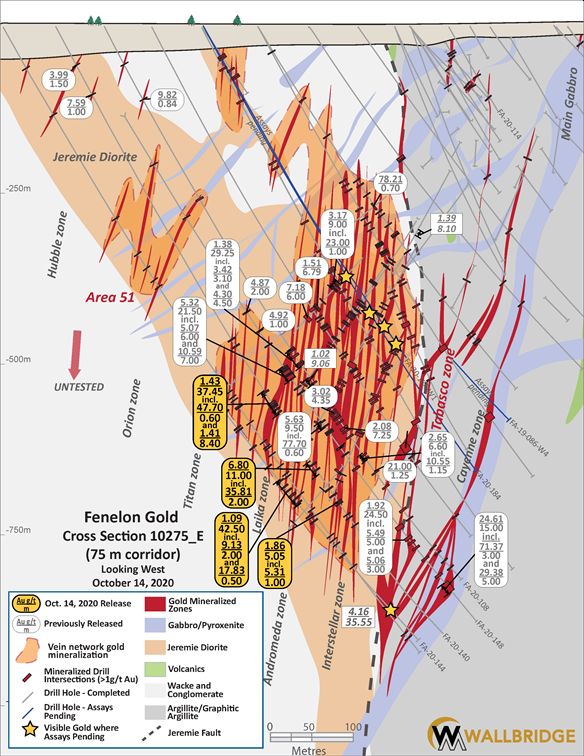 Fenelon Gold, 10275 Cross Section