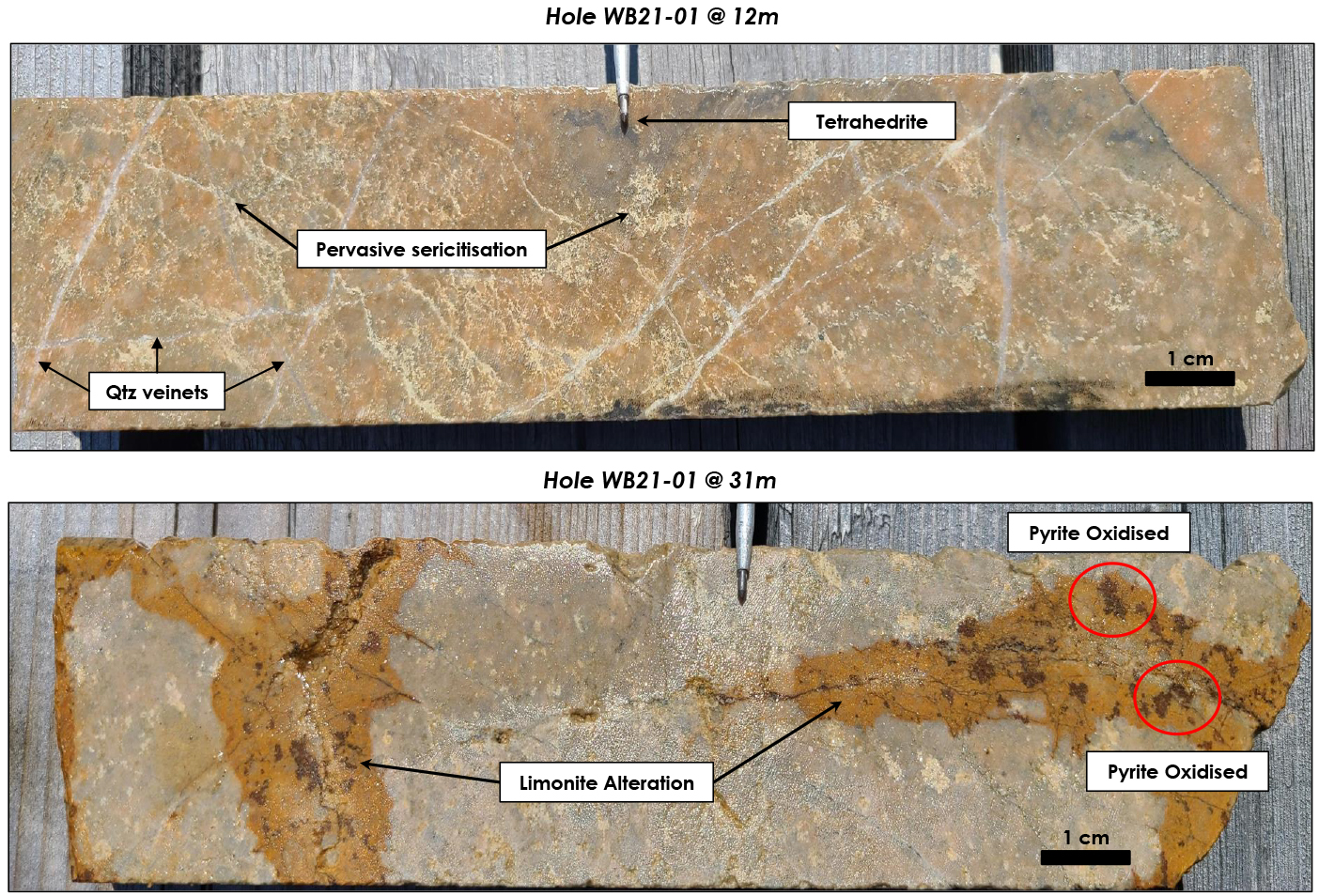 Figure 4a: Typical Alteration and Mineralization Observed in the Core