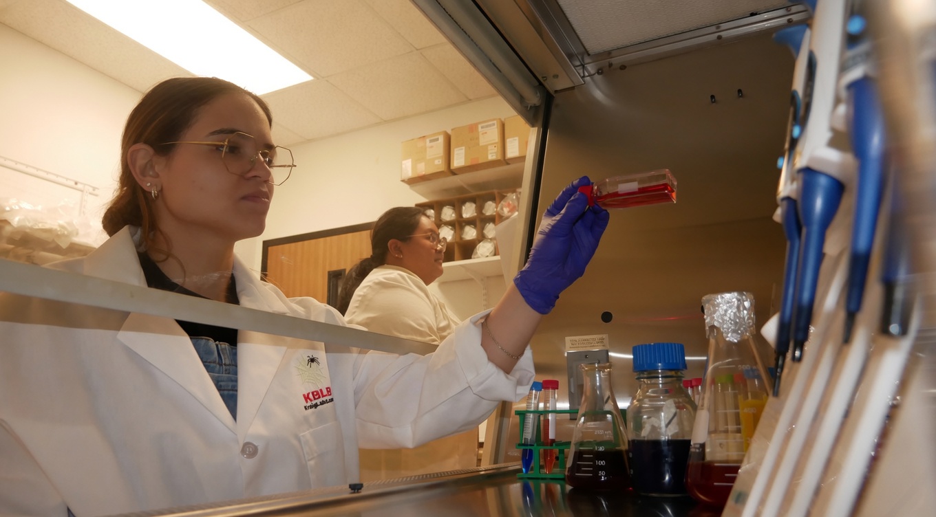 Kraig Labs Scientific Team Immortalizes Silk Gland Cell 