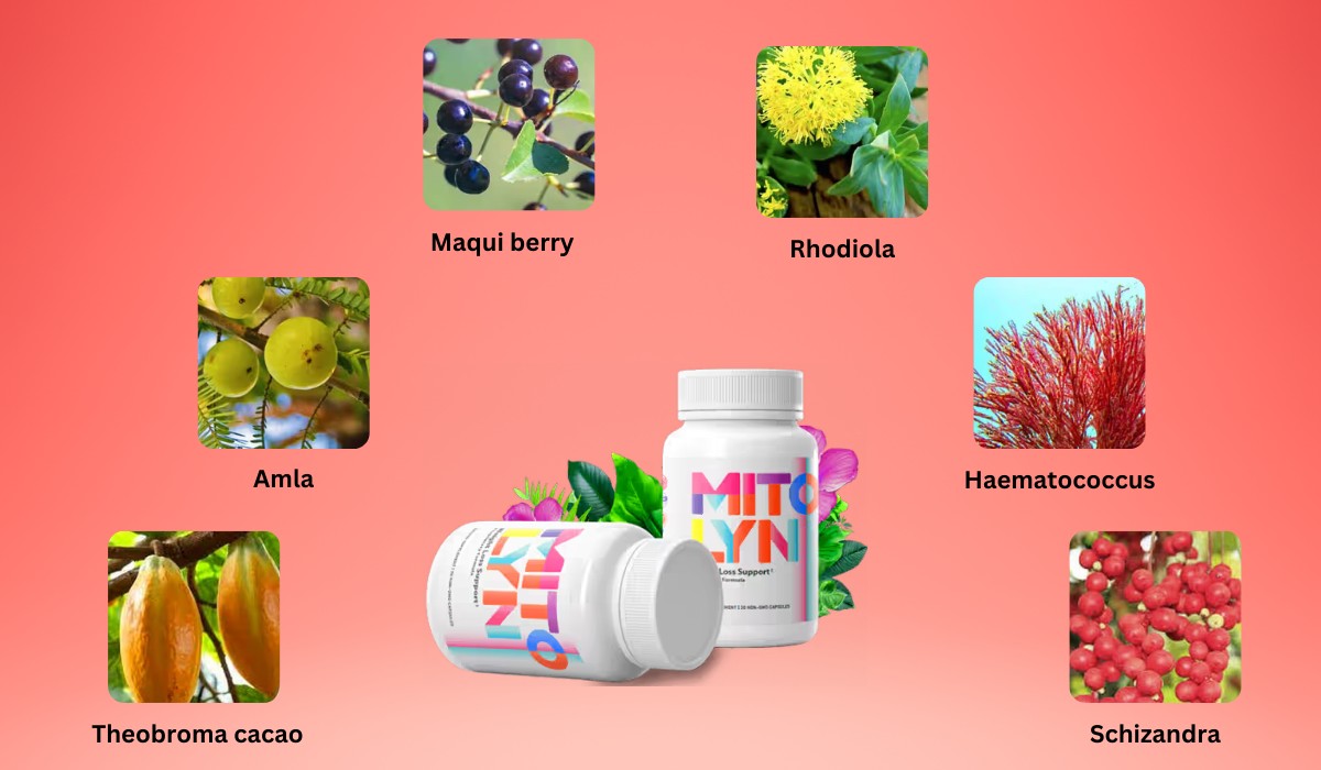 Mitolyn Ingredients