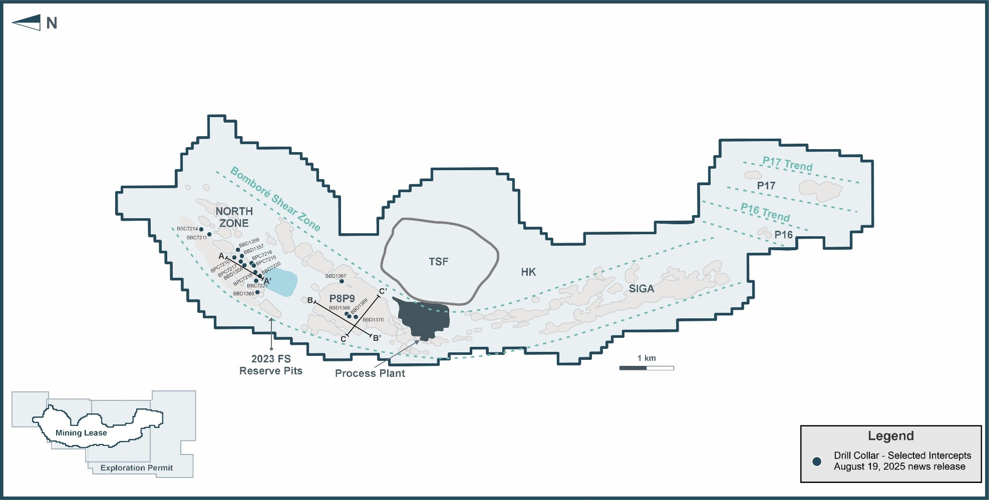 Figure 1 image