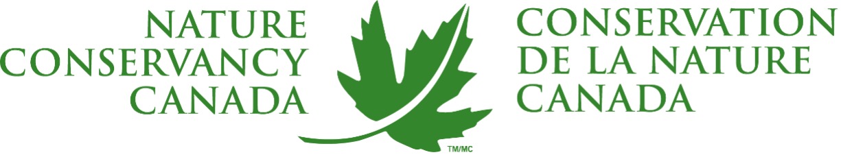 ENG_Logo.jpg