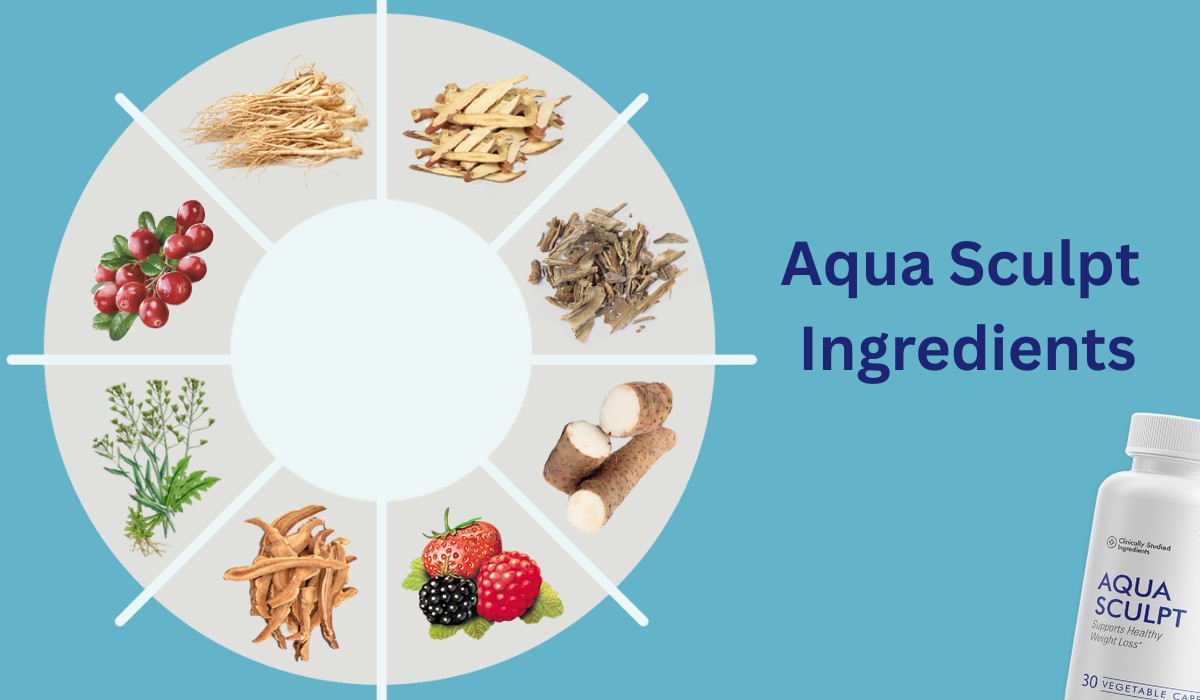 Aqua Sculpt Ingredients
