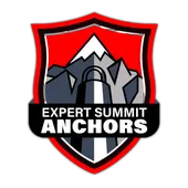 Expert+Summit+Anchors-logo.png