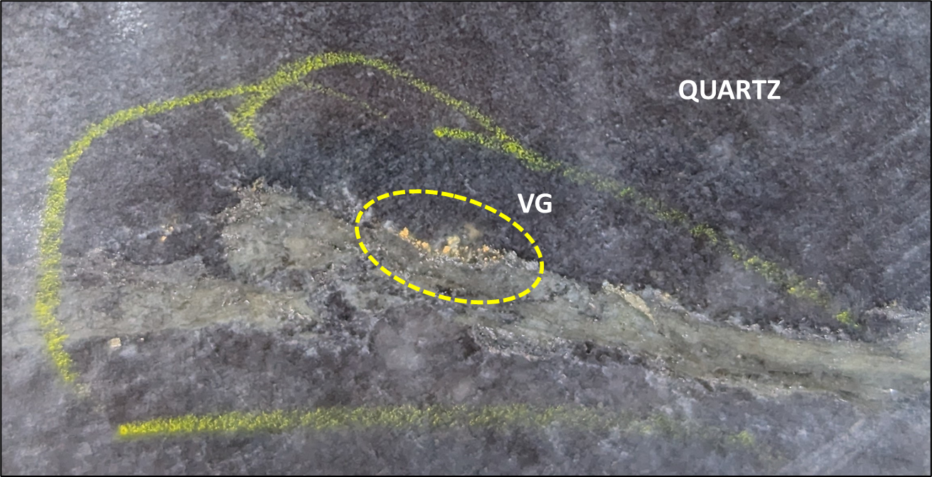Core photo of visible gold in GS24-136 @164.3m.