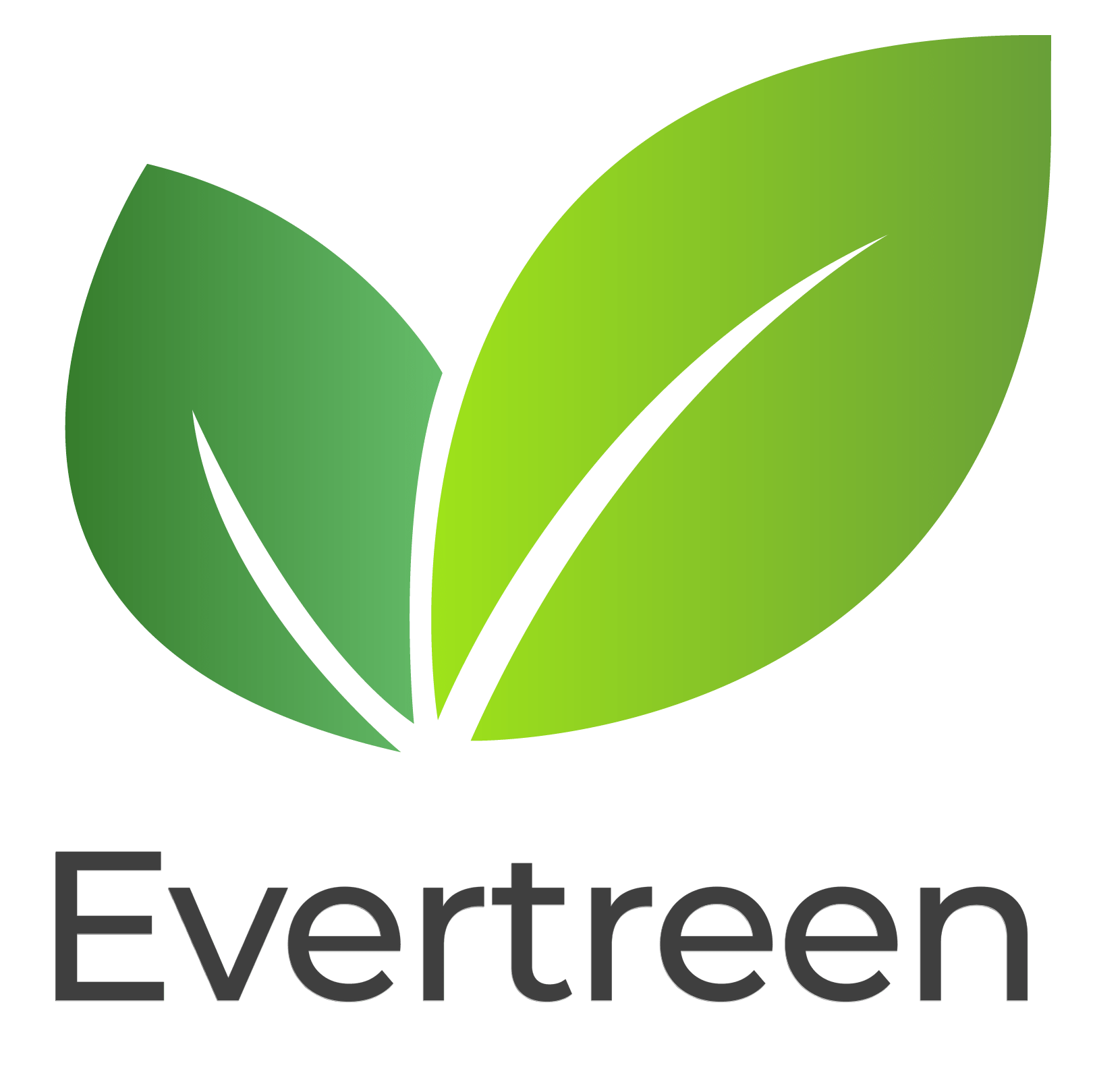 Evertreen