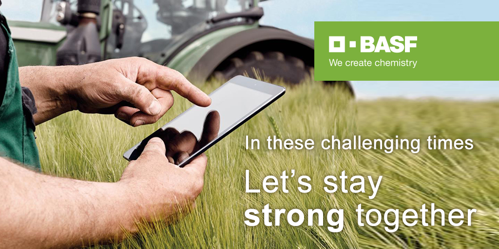 In just a few weeks, BASF Canada employees rallied together to support Food Banks Canada. We couldn’t be more proud to announce a donation of over $64,000, combining both employee & corporate contributions. 