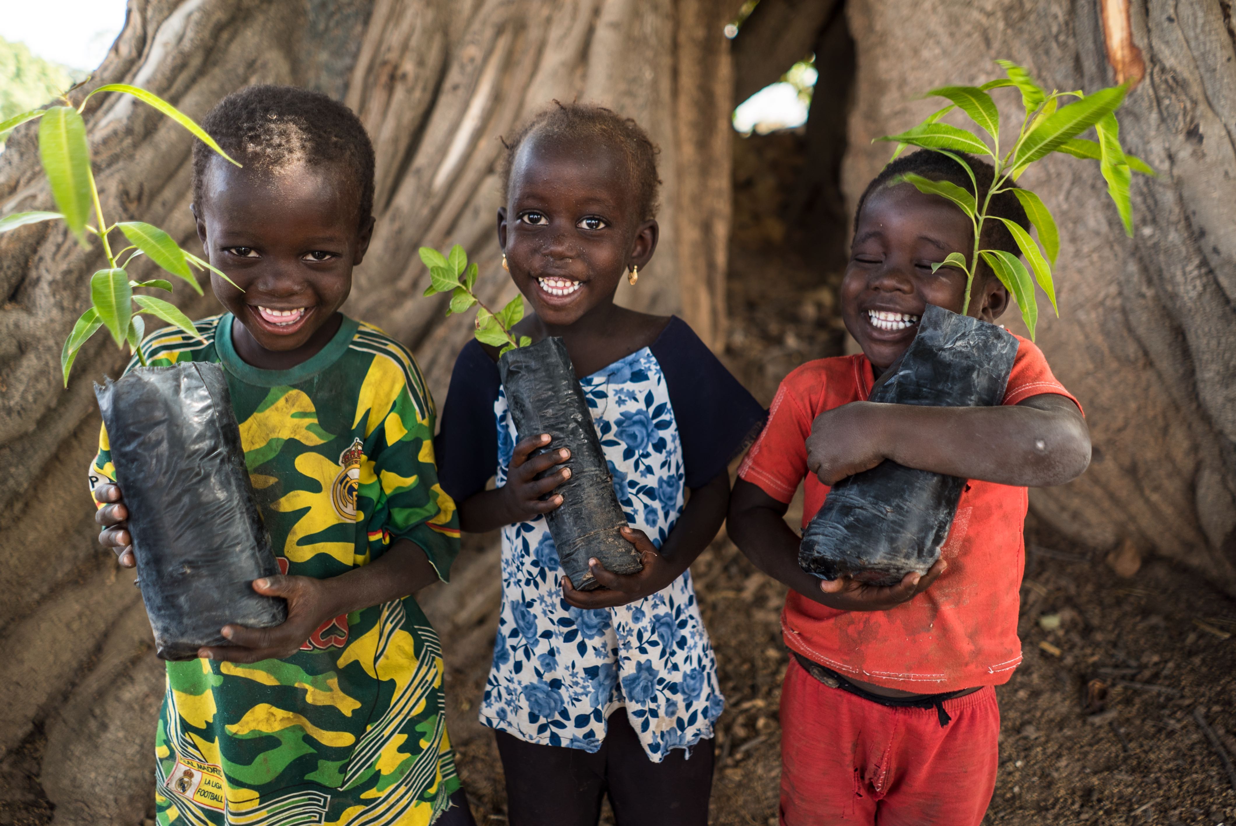 Trees for the Future works with locals from the beginning of each project to ensure success. By focusing on education and training, Trees for the Future farmers and their families understand the core elements of agroforestry and are able to implement them for generations.