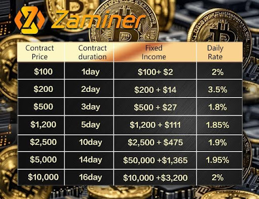 ZA Miner Contract Options