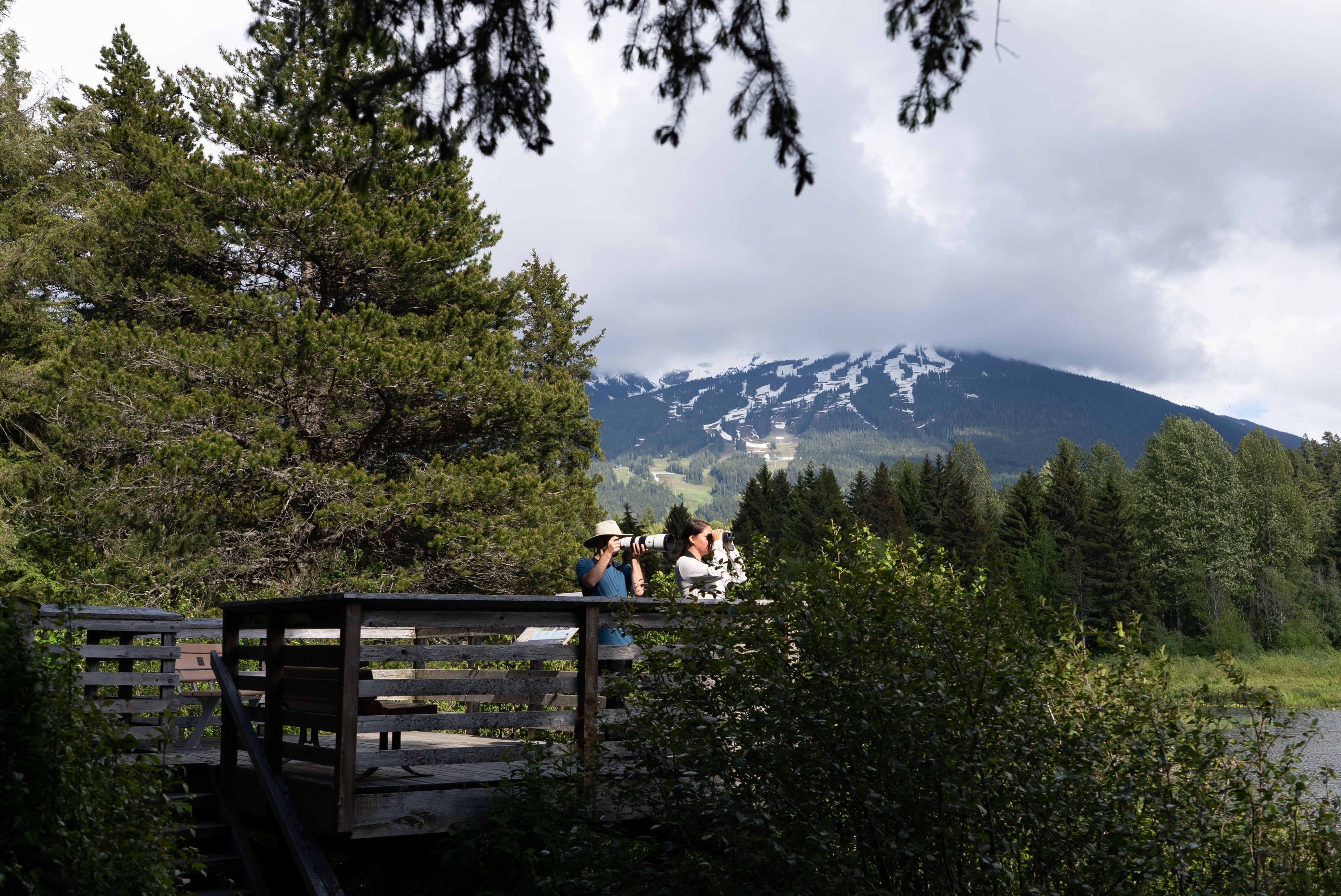 19 - Rainbow Park - Whistler - BC Bird Trail