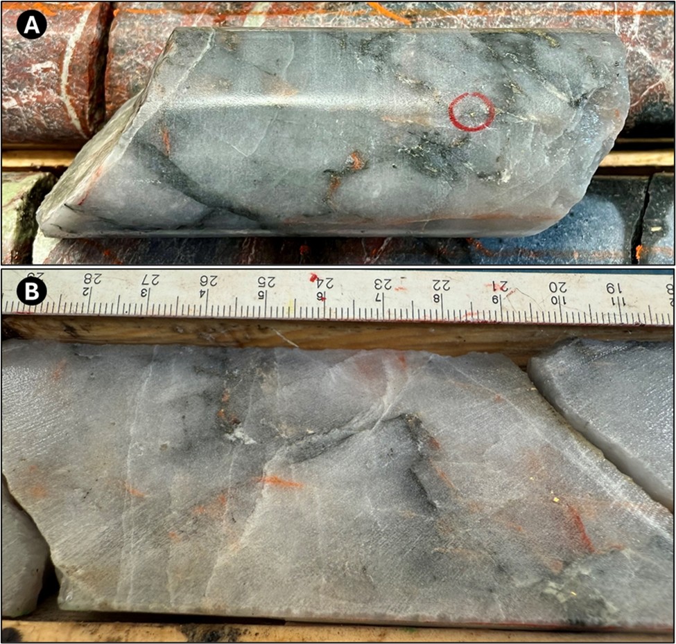 Red Pine Exploration Inc. 