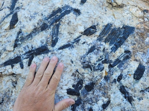 Large tourmaline crystals in pegmatite, Liberty Lithium Project, Black Hills, South Dakota