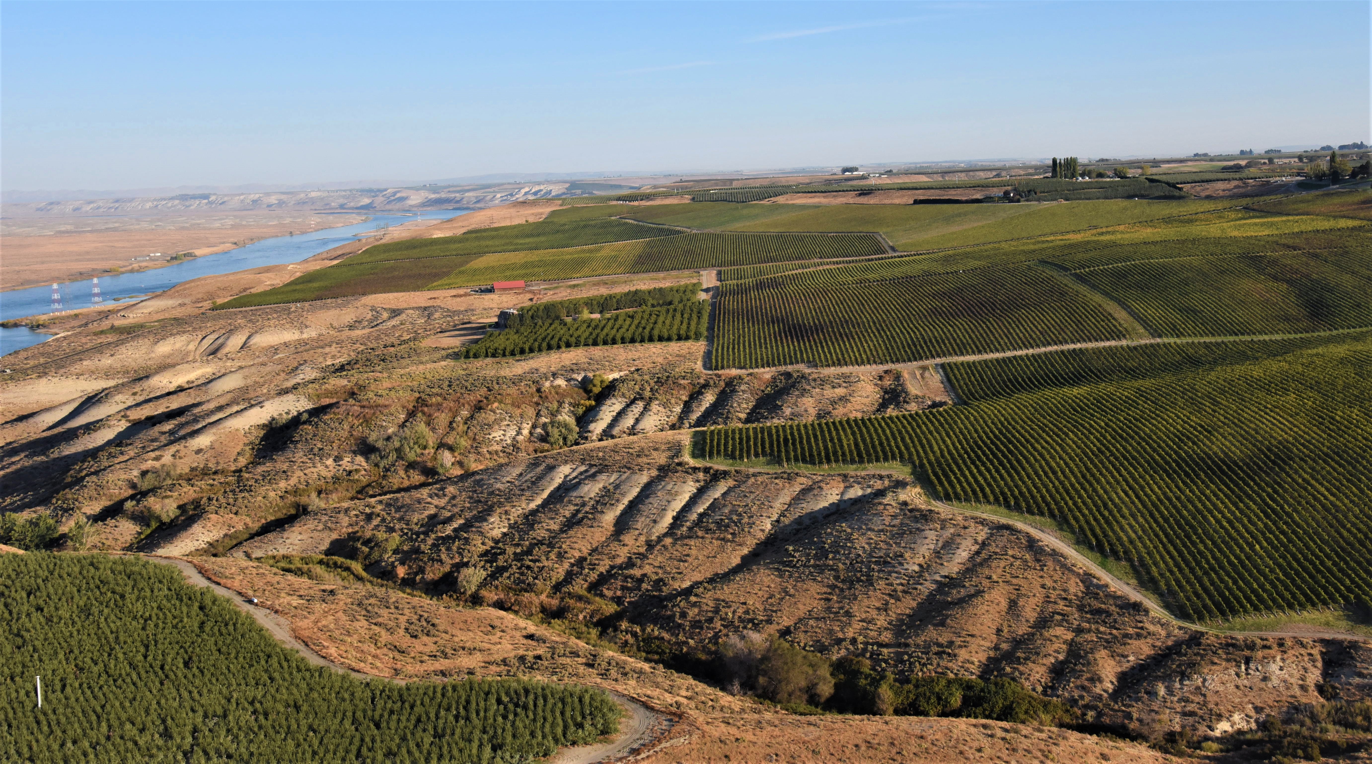 White Bluffs AVA, image courtesy Kent Waliser of Sagemoor Vineyards.