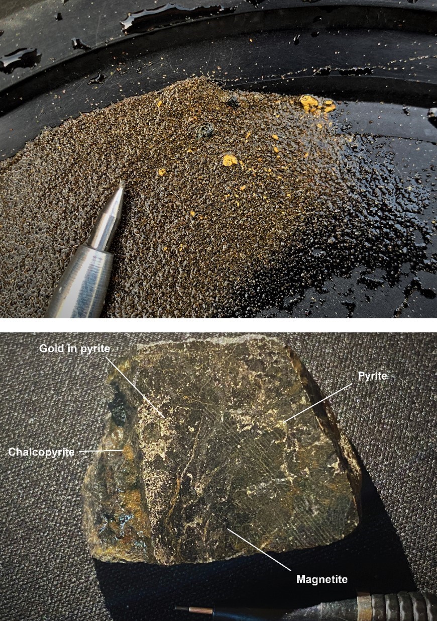 Gold grains and copper-gold mineralization