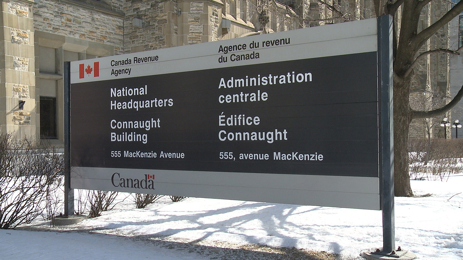 Cardinal Point Wealth Management Explains How the Canada Revenue Agency Taxes Cryptocurrency