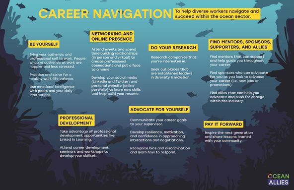 Career Navigation