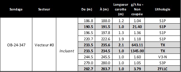 Résultats d’analyse détaillés du sondage OB-24-347