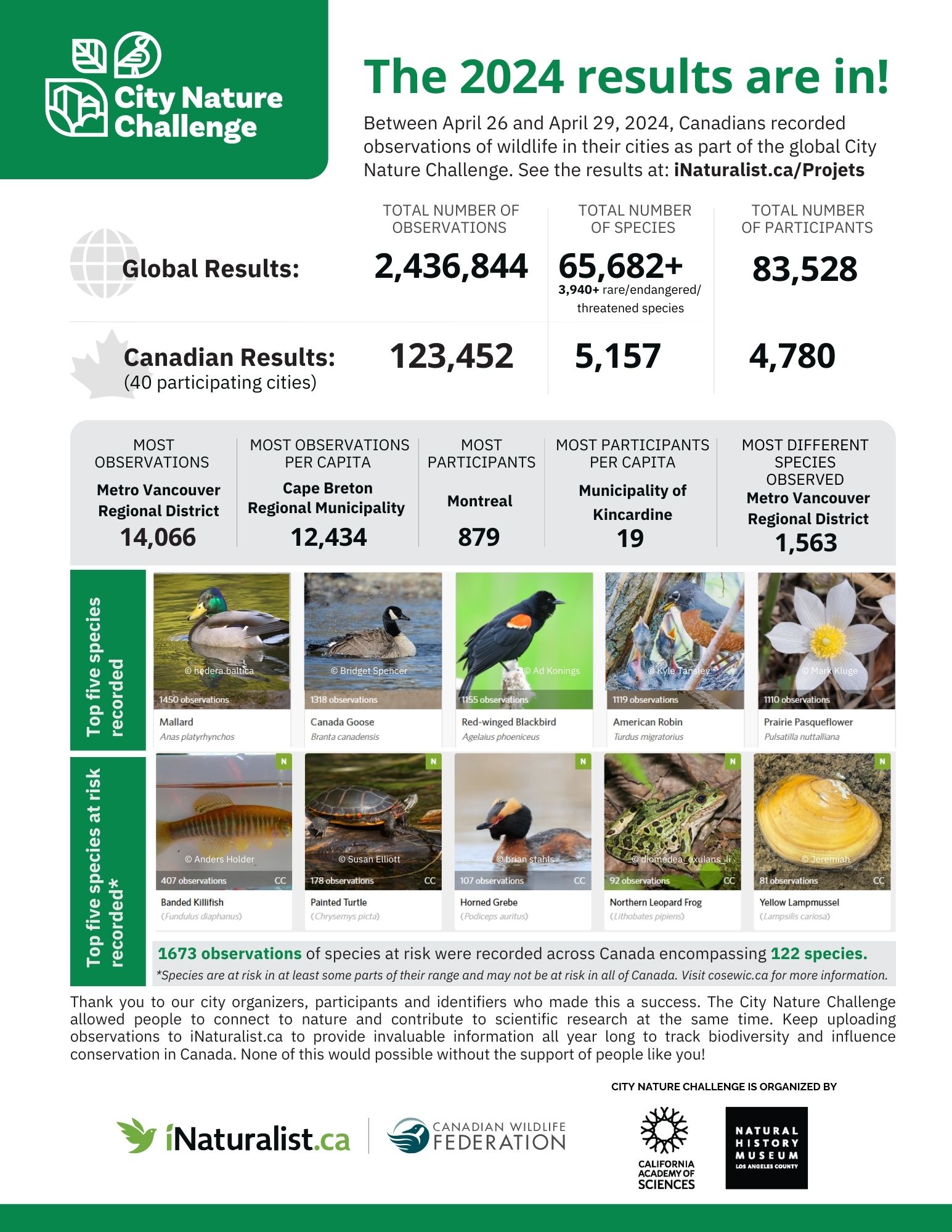 EnglishCNCREsultsInfographic