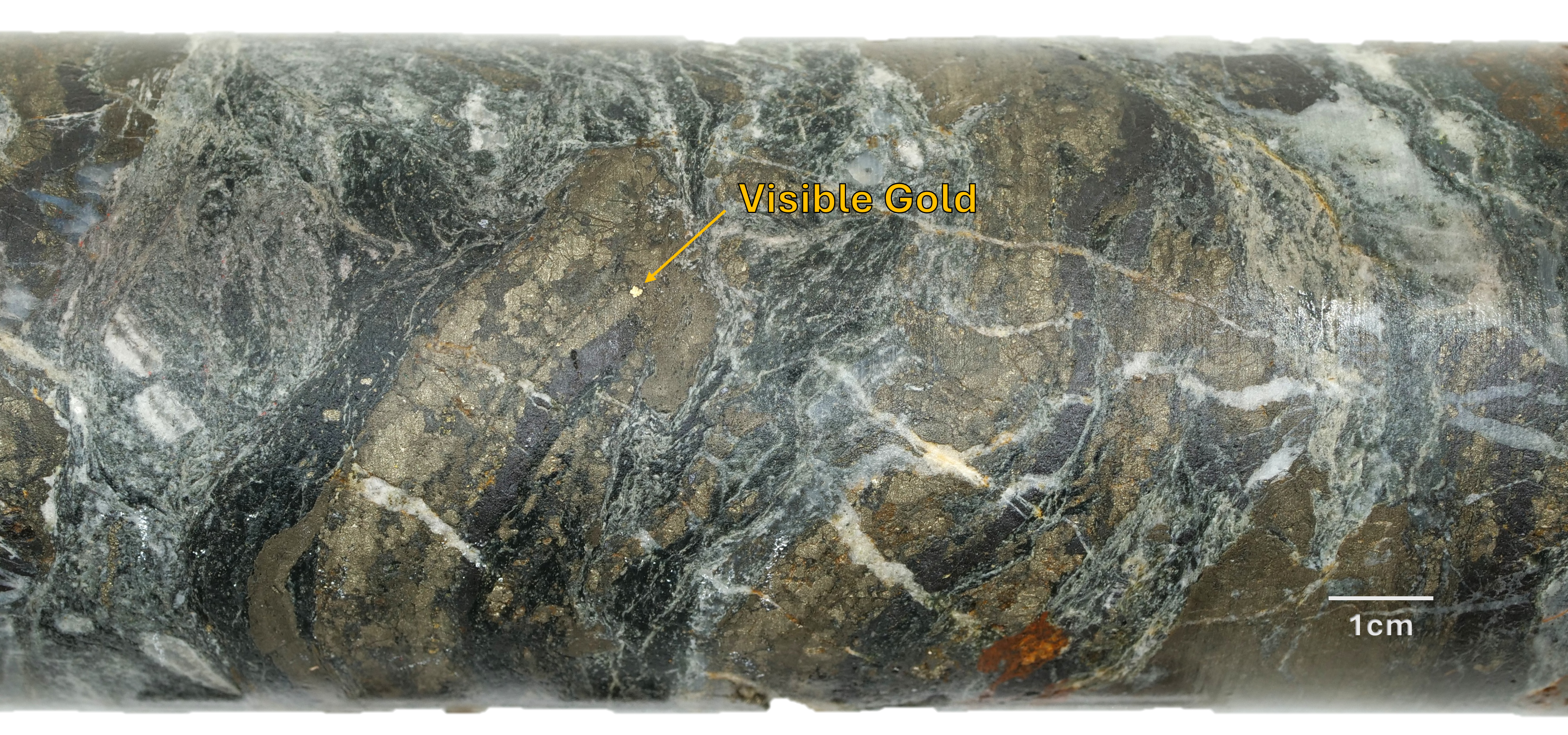 Figure 3 image