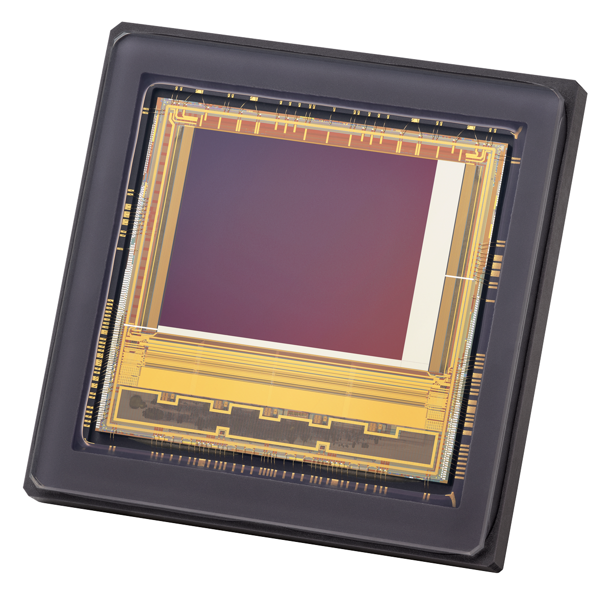 2023_09_Teledyne_e2v_Onyx_dos_HD_transparent_3_1200x1173web