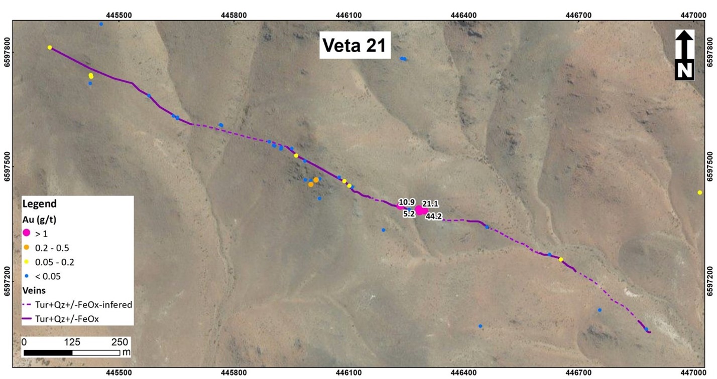 The Veta 21 quartz-tourmaline vein system has been traced over a 1.2 Km strike length, with rock chip gold assays of up to 44.2 g/t Au.