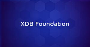 XDB Foundation.png