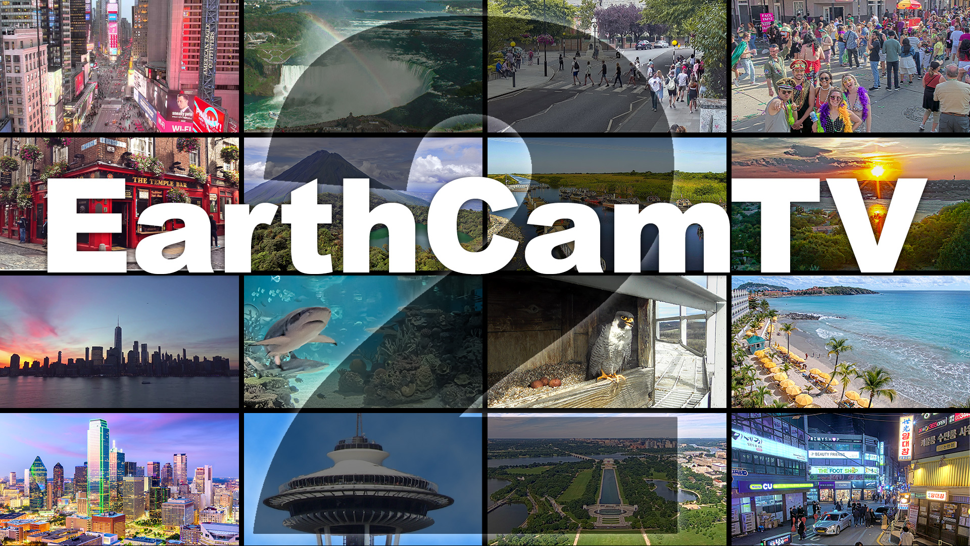 New release includes archives which let users view the past 24-hours of footage from all EarthCam's live cameras