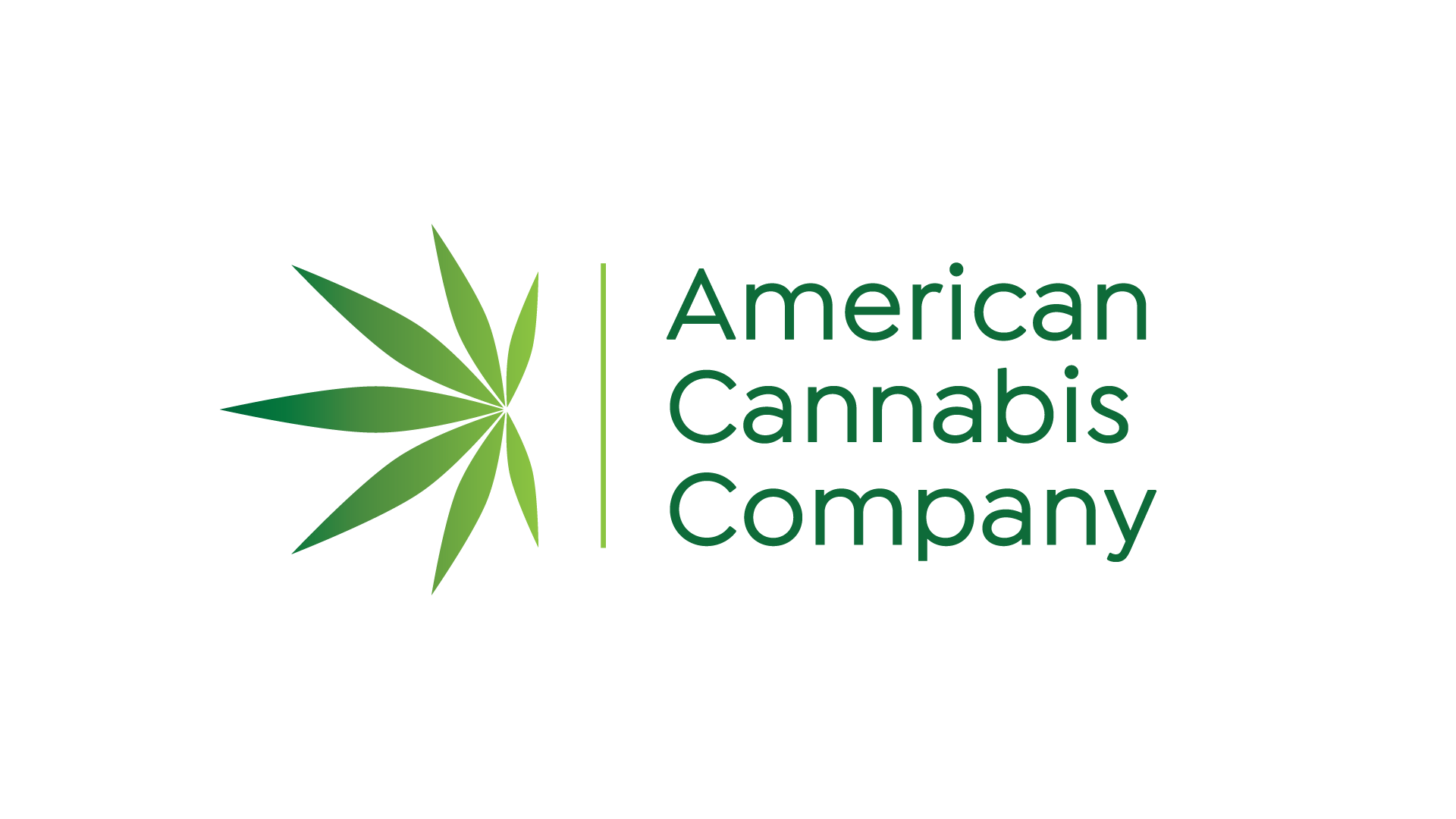 AMERICAN CANNABIS.png