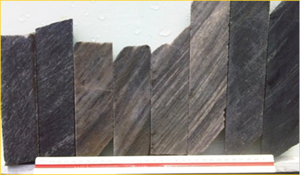 IMAGE OF TYPICAL CORE FROM POSSE GOLD DEPOSIT