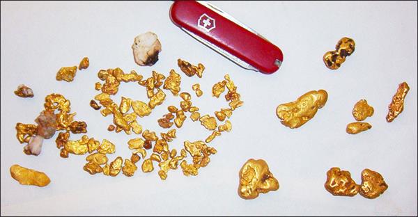 Fig.2-AIS-Resources-Fosterville-Toolleen-Property-Gold-Nuggets