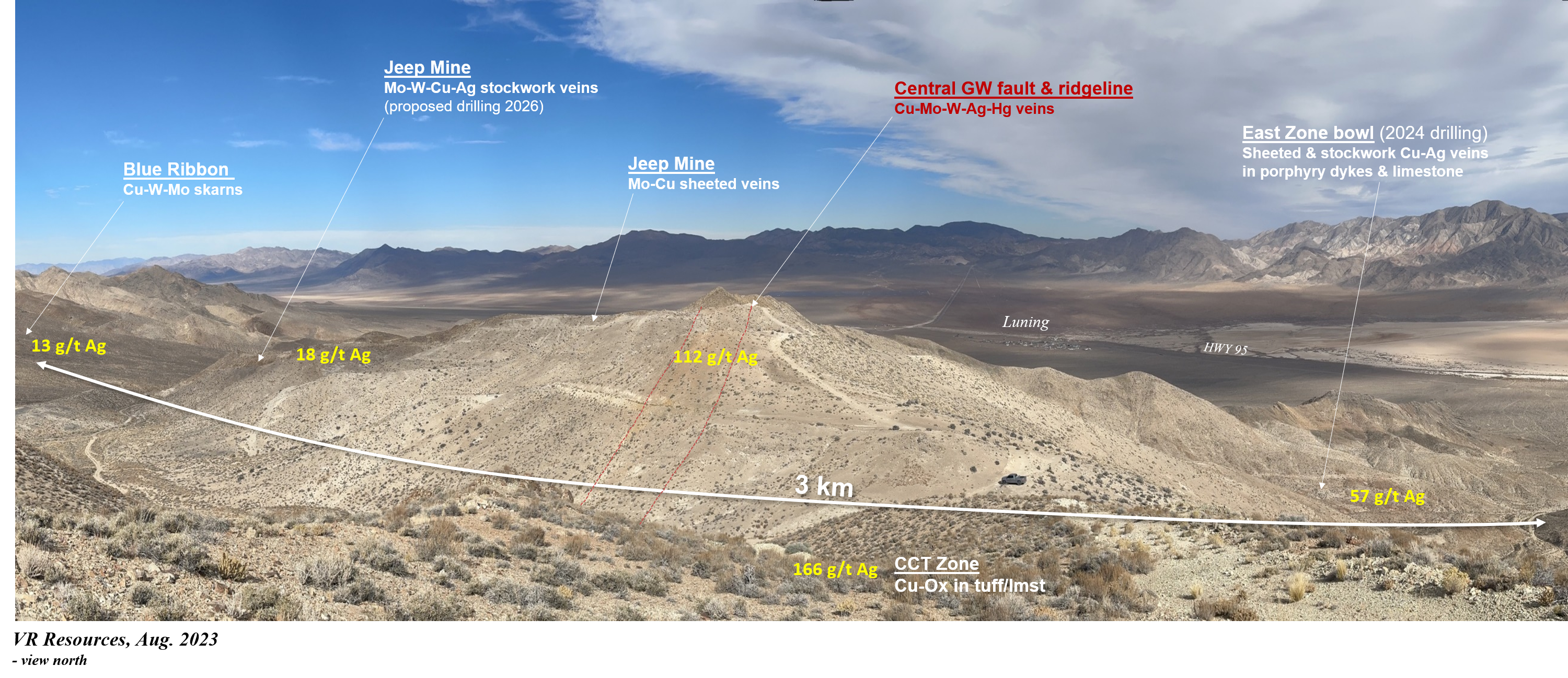 Figure 1 image