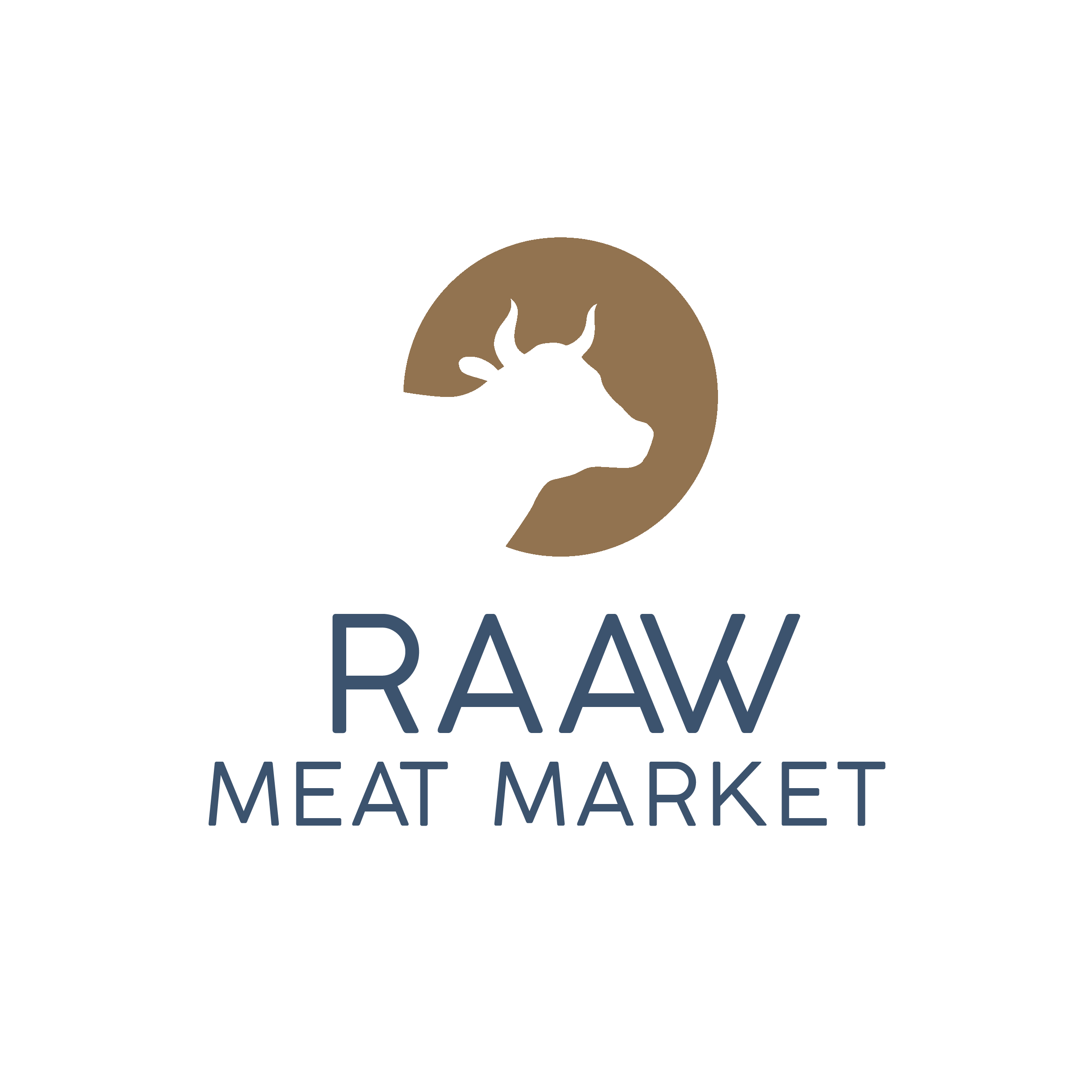 RAAW Meat Market logo