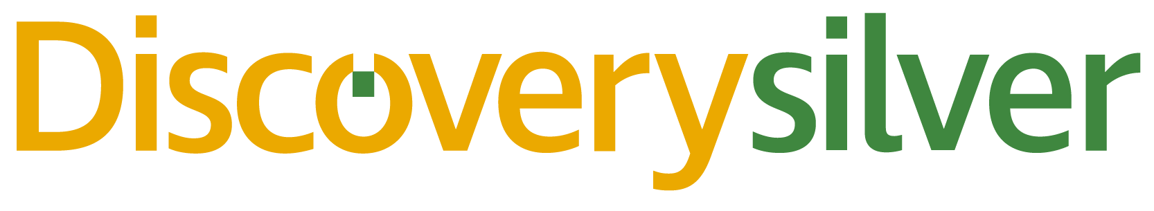 Discovery Silver Logo.png