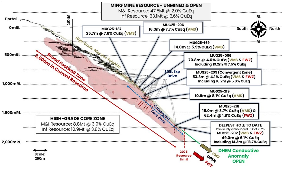 Figure 1 image